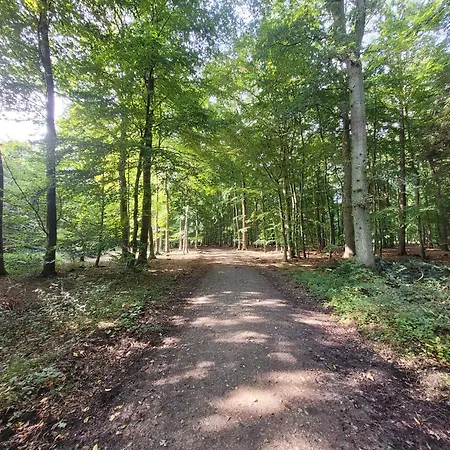 Apartament App Glueck Am Mit 1 Sz Und Balkon, Strandnah By Unsere Urlaubszeit Kellenhusen